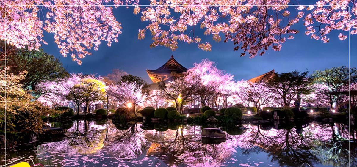 Du lịch Nhật Bản: Khám phá vẻ đẹp đương đại và truyền thống của Đất Nước Mặt Trời Mọc khi đến Nhật Bản. Tận hưởng ẩm thực tuyệt vời, tham quan các ngôi đền lịch sử và tắm suối nước nóng. Nhật Bản sẽ là chuyến du lịch đầy trải nghiệm nhất đời bạn.