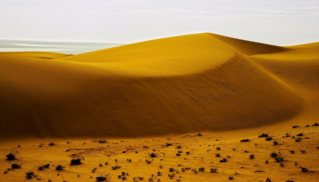 Adventure awaits on the sandy hills and dunes of Binh Thuan