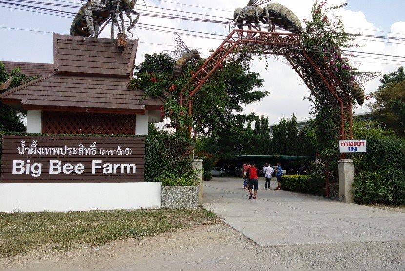 thing-to-do-in-big-bee-farm-bdatrip