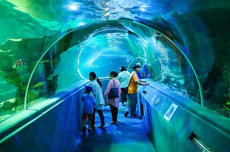 chiang mai zoo & aquarium