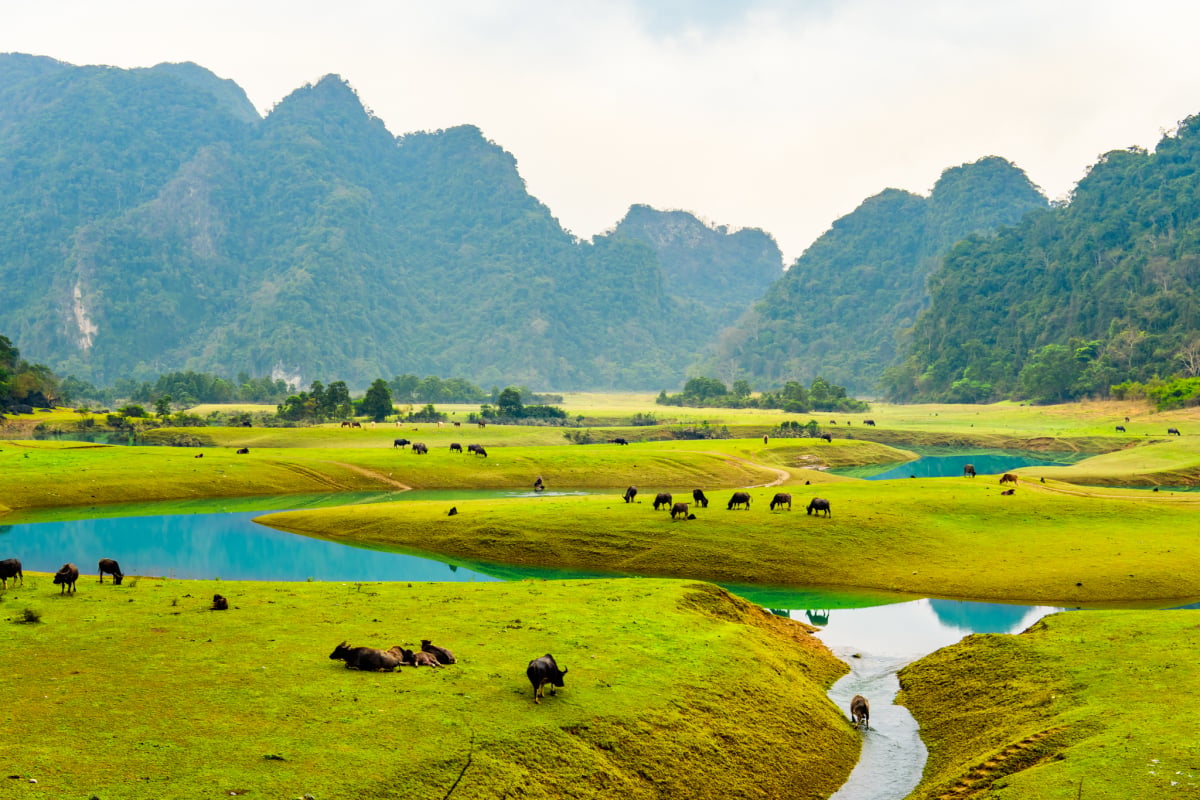 Khám Phá Khu Sinh Thái Nước Khoáng Nóng Sơn Kim Độc Nhất Hà Tĩnh | Bdatrip  | BDATrip