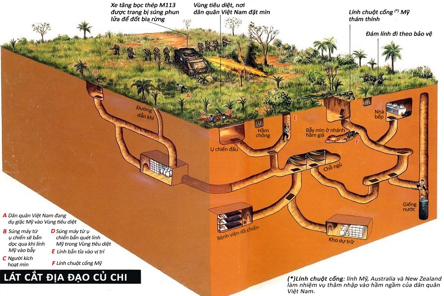 Cu Chi Tunnels A Miracle Of Vietnam History. BDATrip
